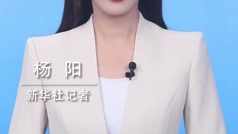 容器编排集群管理的核心要素与挑战