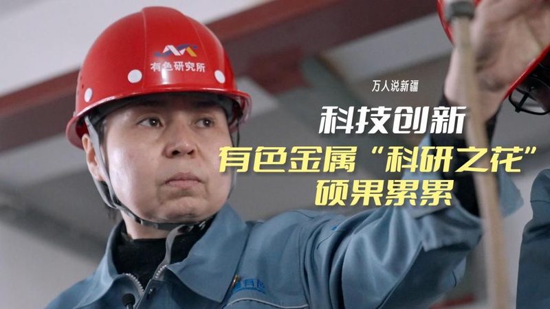 协同办公OA功能分类标准解析